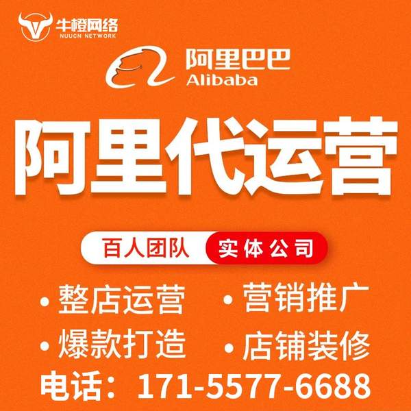 石家庄电商代运营