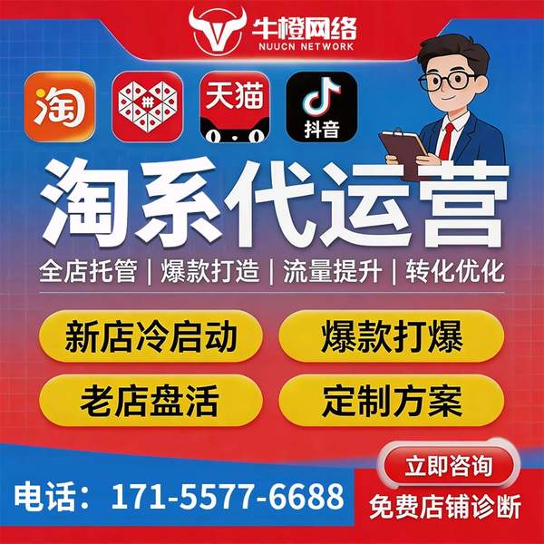 石家庄电商代运营