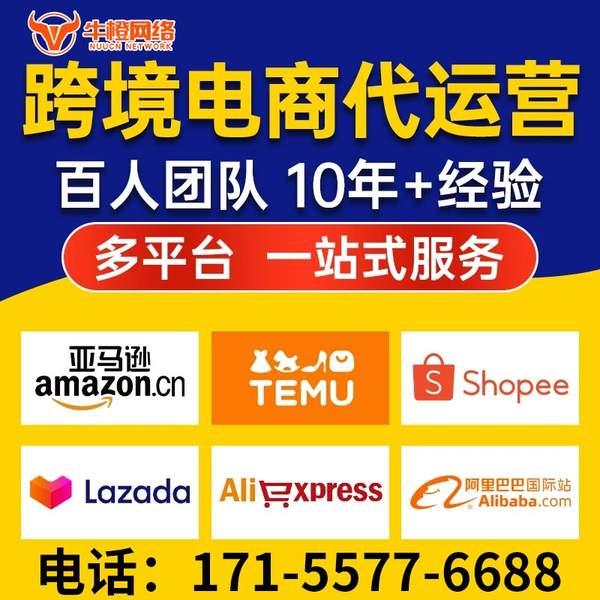 石家庄电商代运营