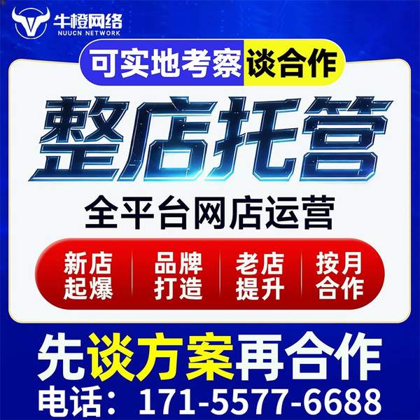 石家庄电商代运营