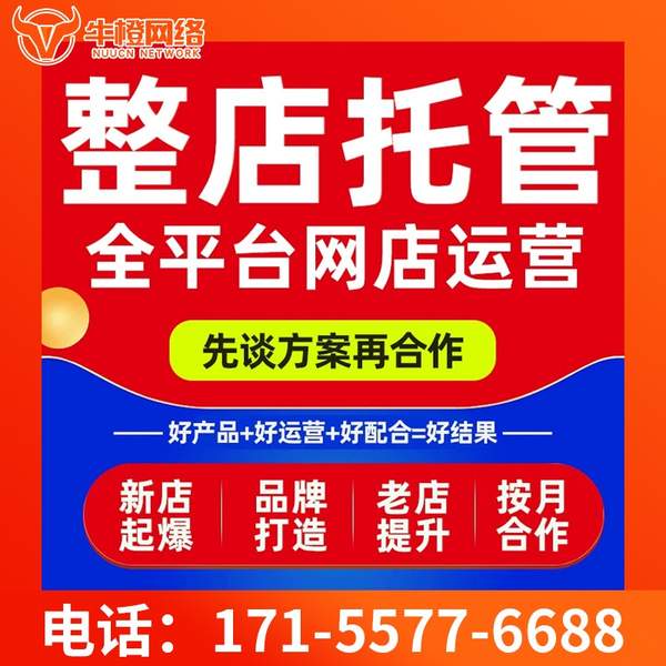 石家庄电商代运营