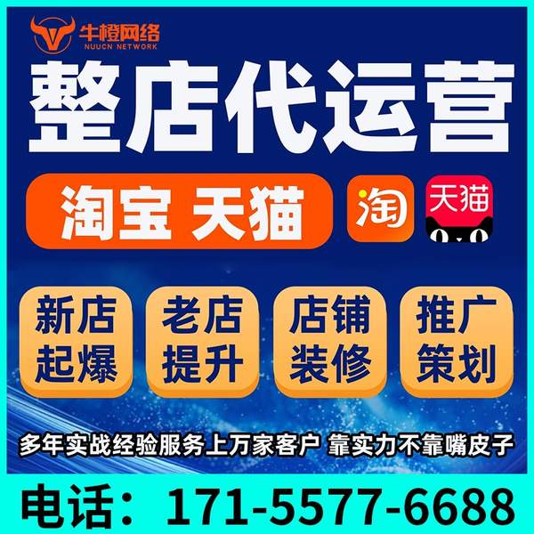 石家庄电商代运营