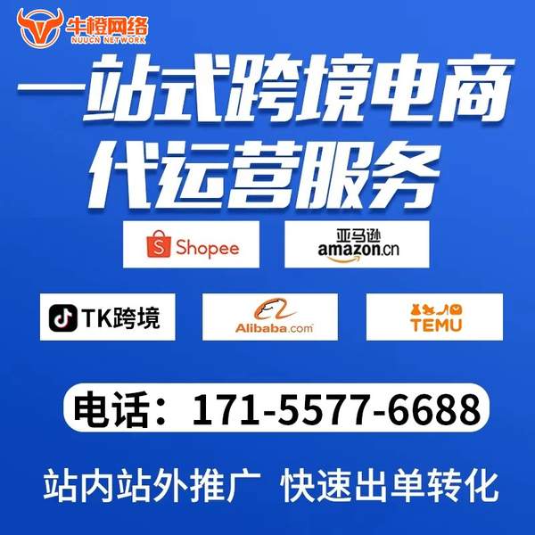 石家庄电商代运营