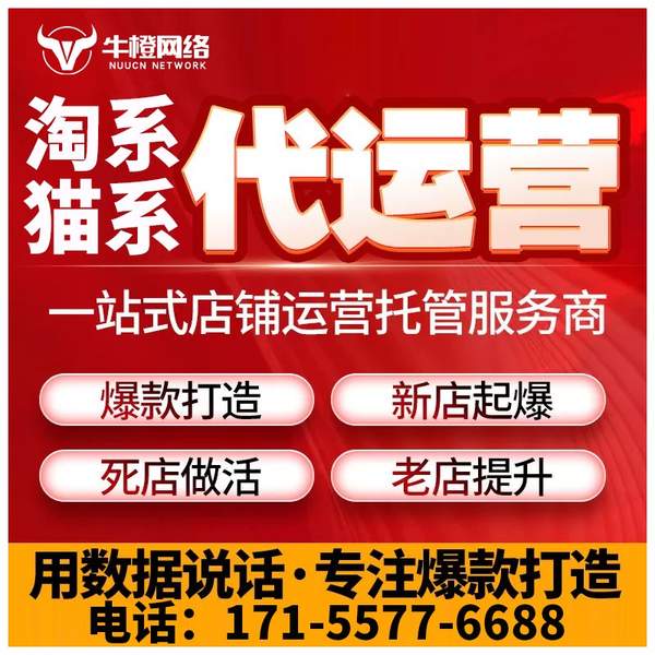 石家庄电商代运营